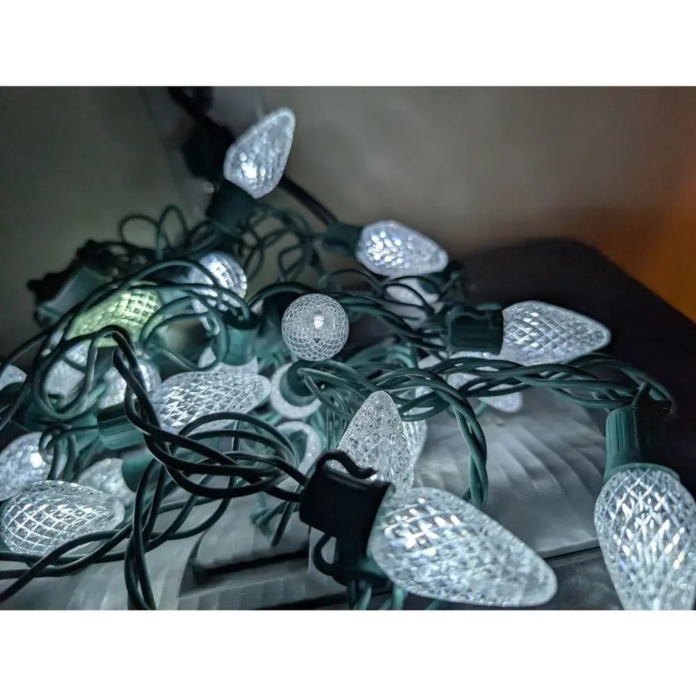 Indoor/Outdoor Christmas Lights-Snowflakes and Other
